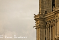 Gárgolas en la fachada de la catedral de Notre Dame de París
